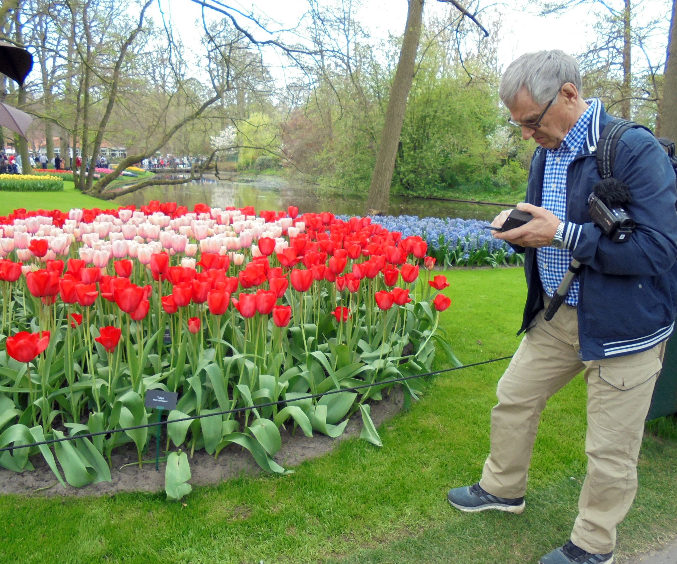 Keukenhof