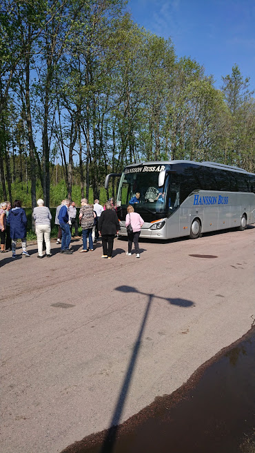 Bussfika