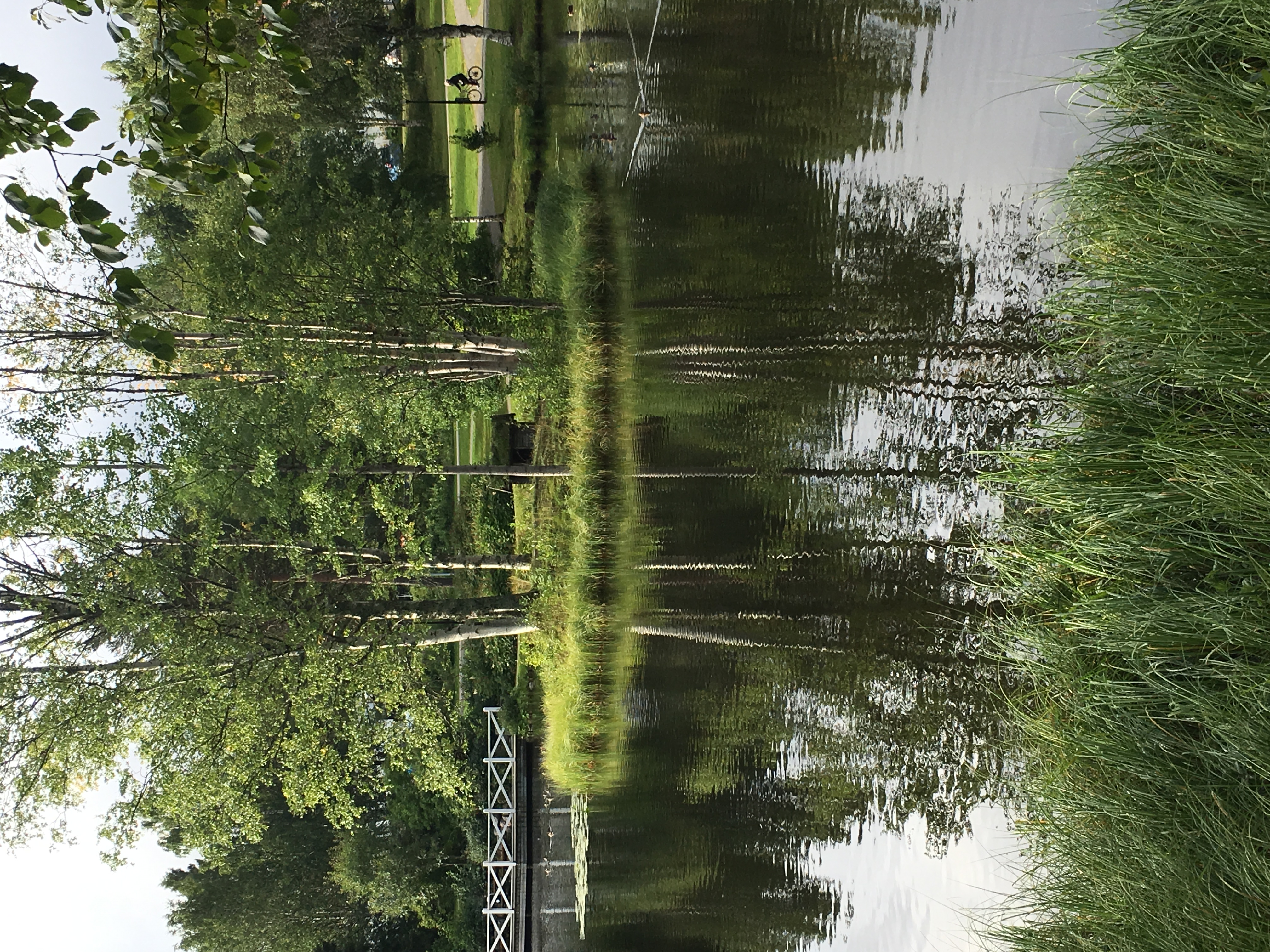IMG_4177