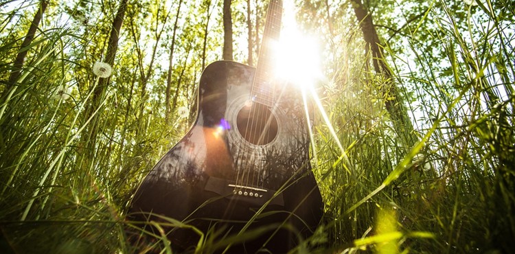 acoustic-guitar-407214_1280
