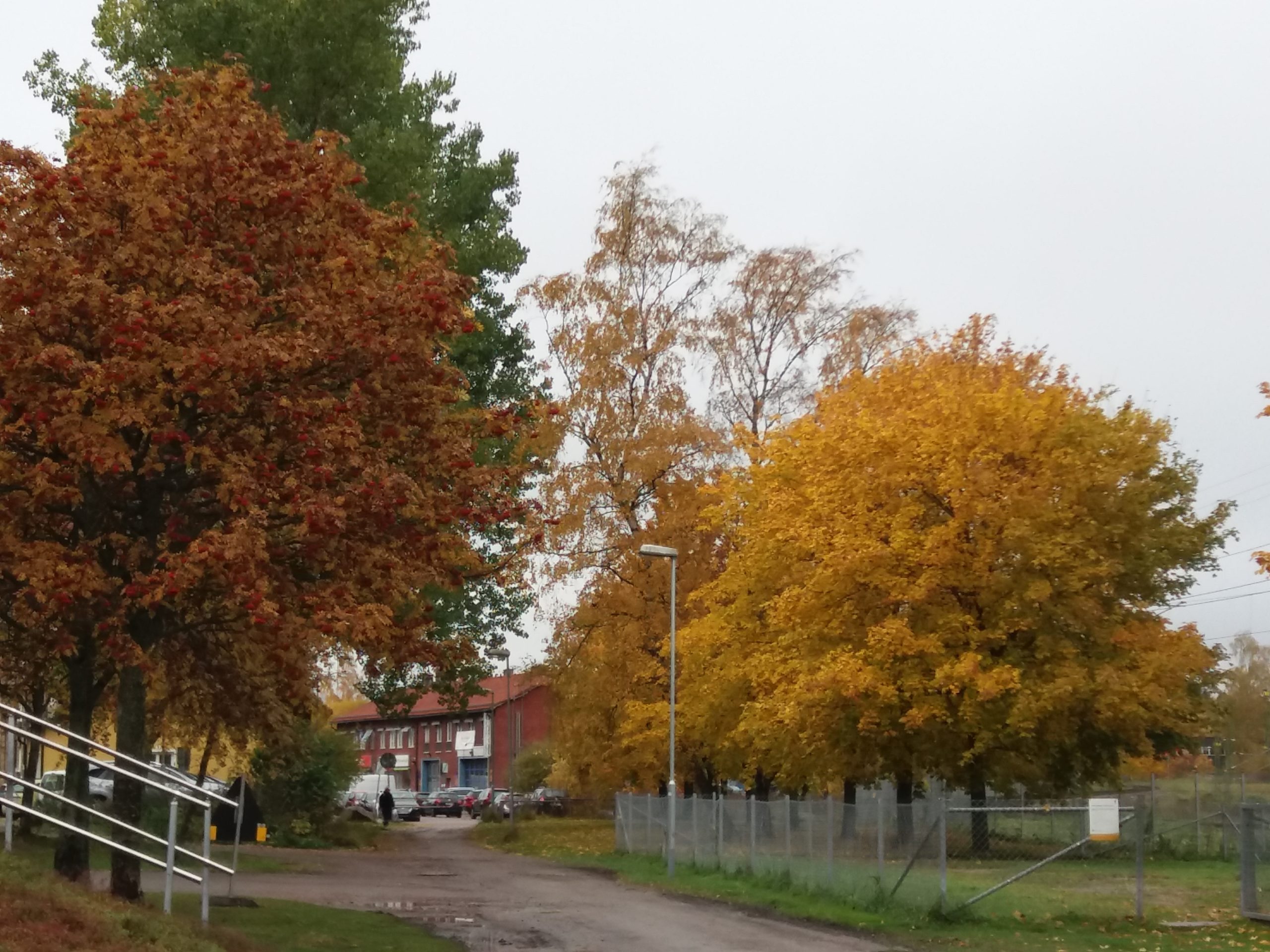 20191018_123657