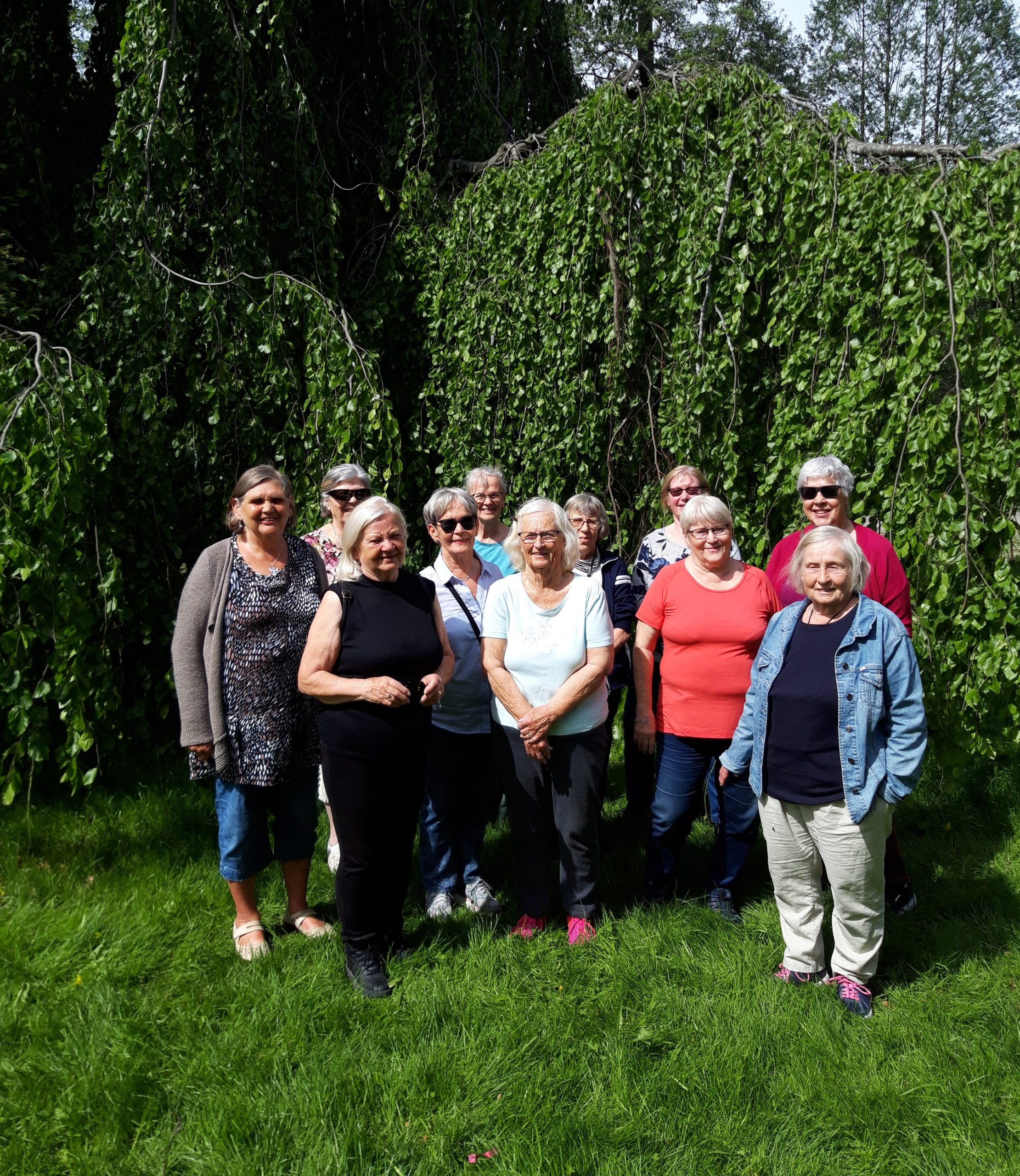 Qigong avslutn.2021-05-31-1