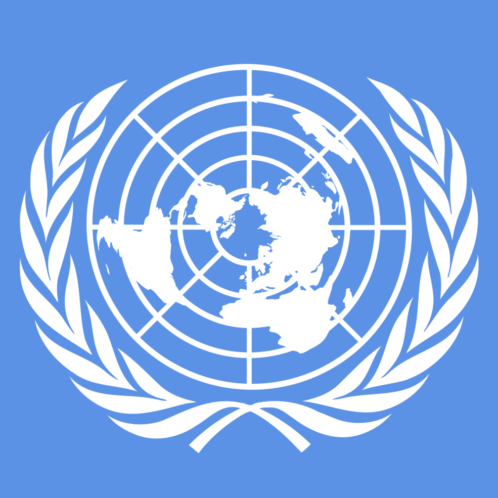FN_UN_logo_org