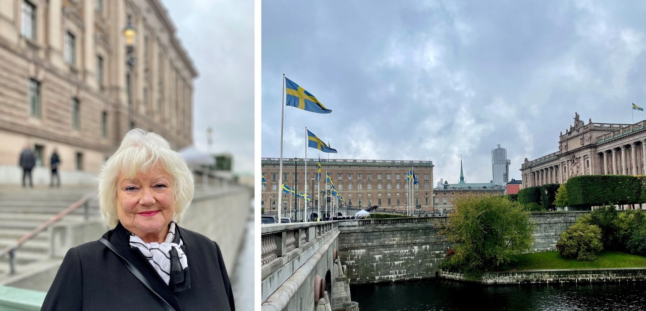Liza_Riksdag