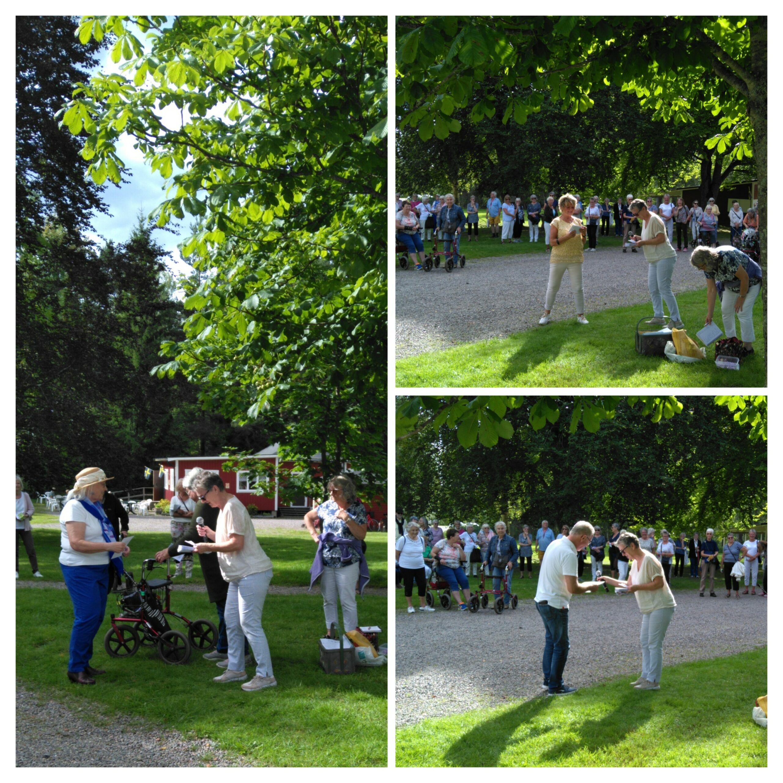 20230818_090152-COLLAGE