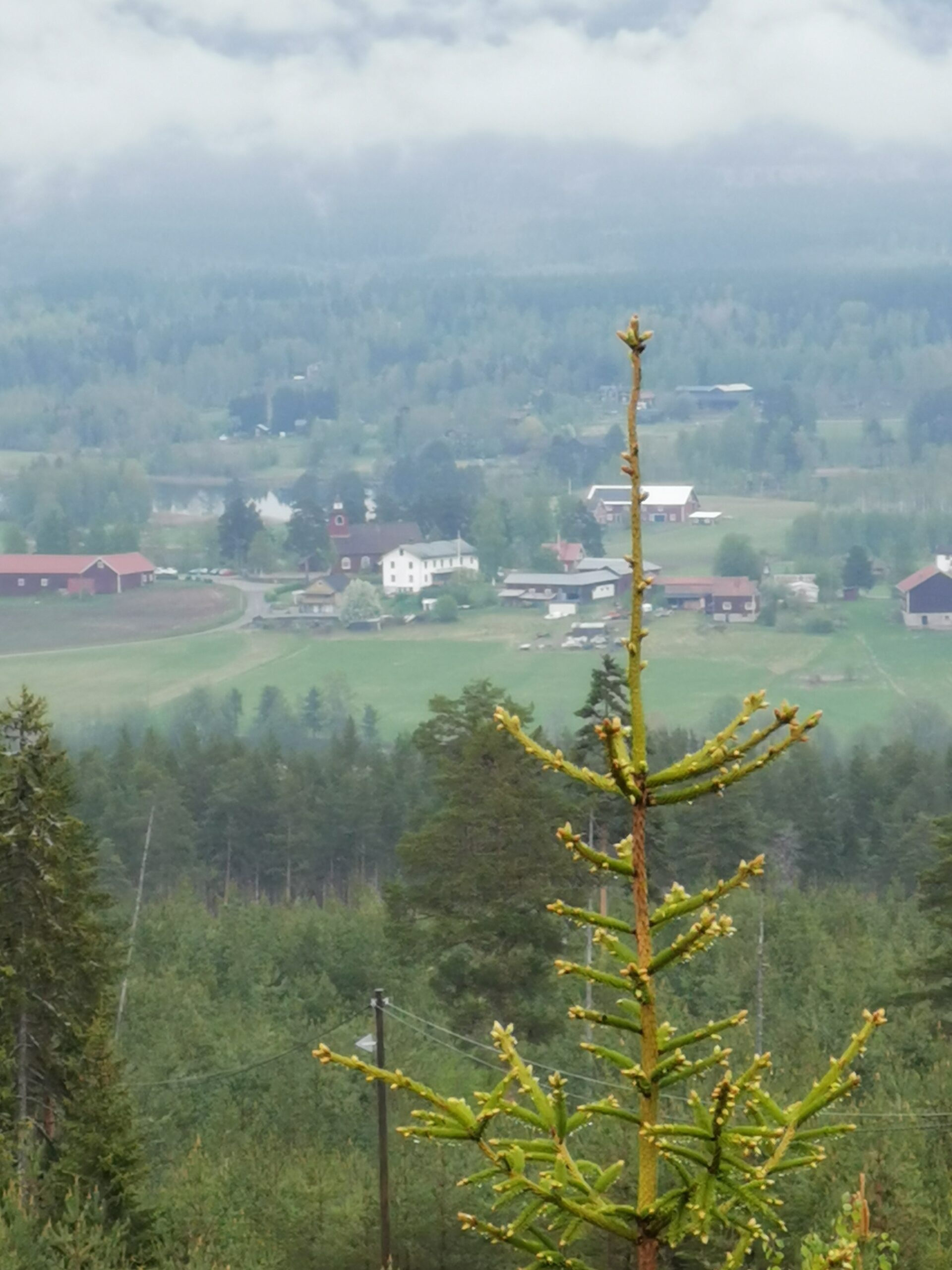 Torsktjärnsrundan 6 2023