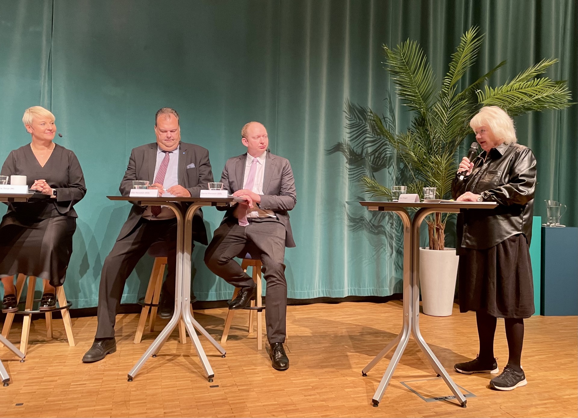 Äldreriksdagen_Lizatalar