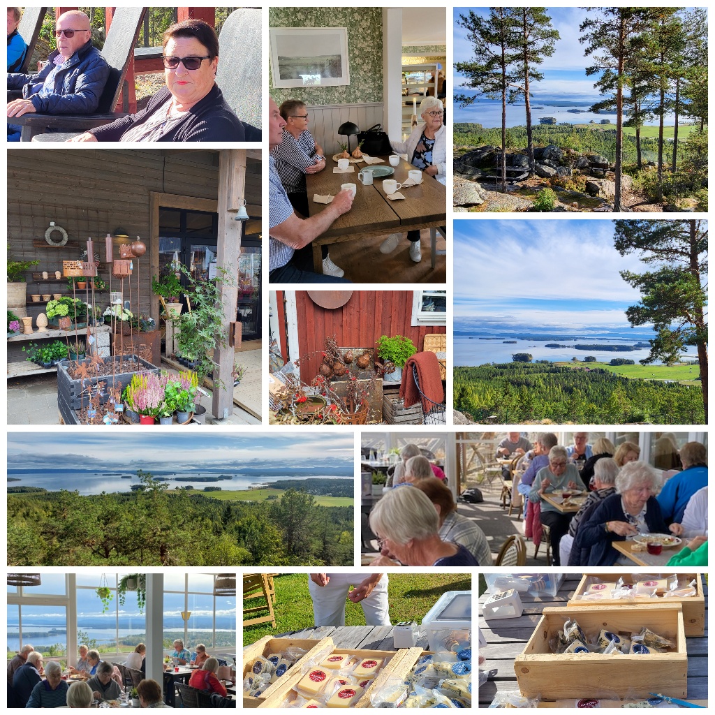 samling