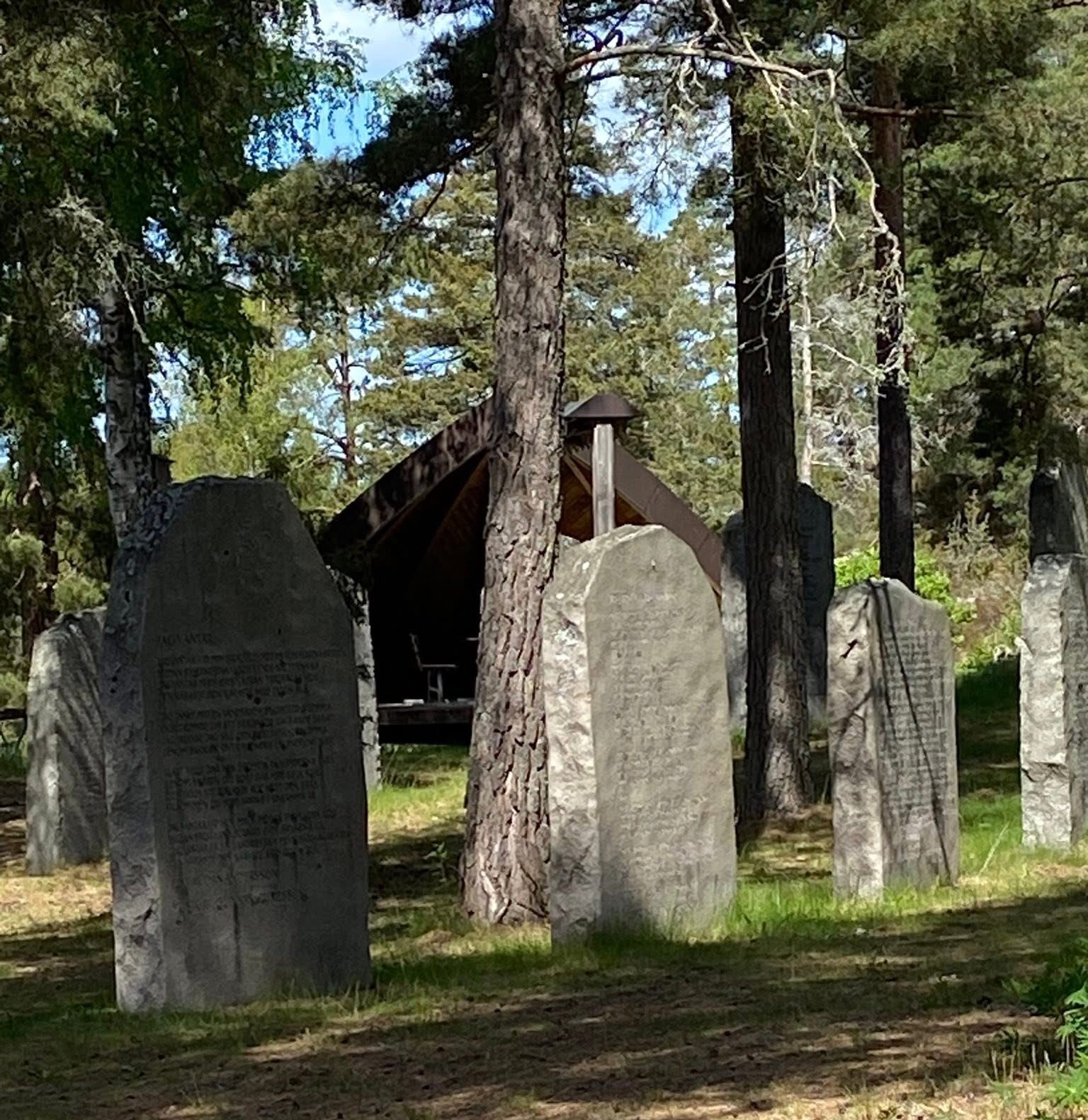 Visans skepp